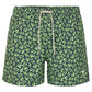 Fred Mello Emerald Green Beach Shorts for Trendy Summer Days