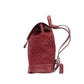 COACH Dempsey Red Apple Signature Jacquard Canvas Logo Patch Backpack