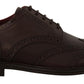 Dolce & Gabbana Brown Leather Oxford Wingtip Formal Derby