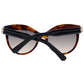 Bally Brown Women Sunglasses