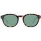 Tommy Hilfiger Brown Unisex Sunglasses