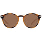 Ted Baker Brown Men Sunglasses