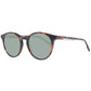 Hackett Brown Men Sunglasses