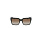 Calvin Klein Brown PLASTICA INIETTATA Sunglasses