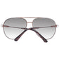 Jimmy Choo Brown Women Sunglasses