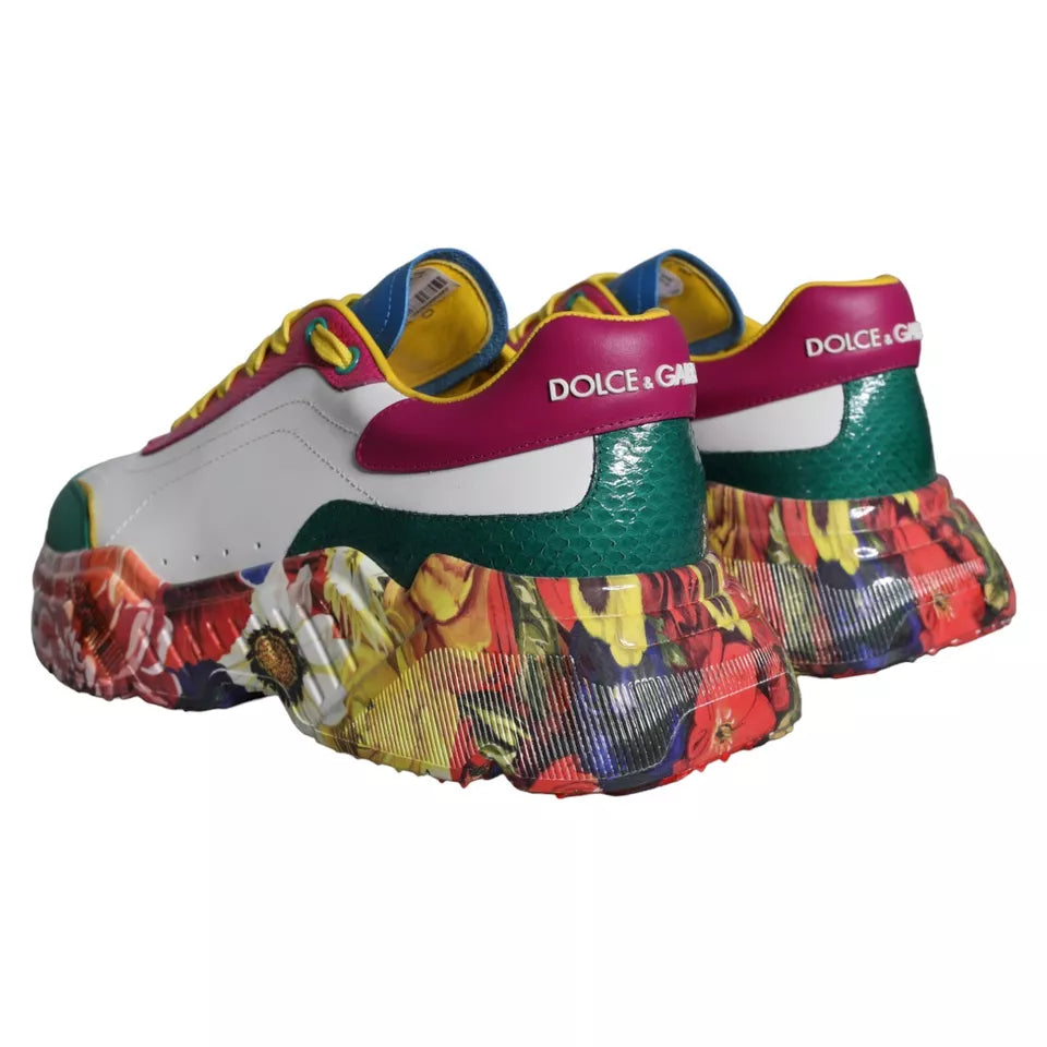 Dolce & Gabbana Multicolor Daymaster Low Top Sneakers Shoes