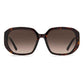 Jimmy Choo Brown Acetate Sunglasses