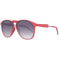 Polaroid Red Acetate Sunglasses