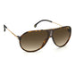 Carrera Brown Acetate Sunglasses