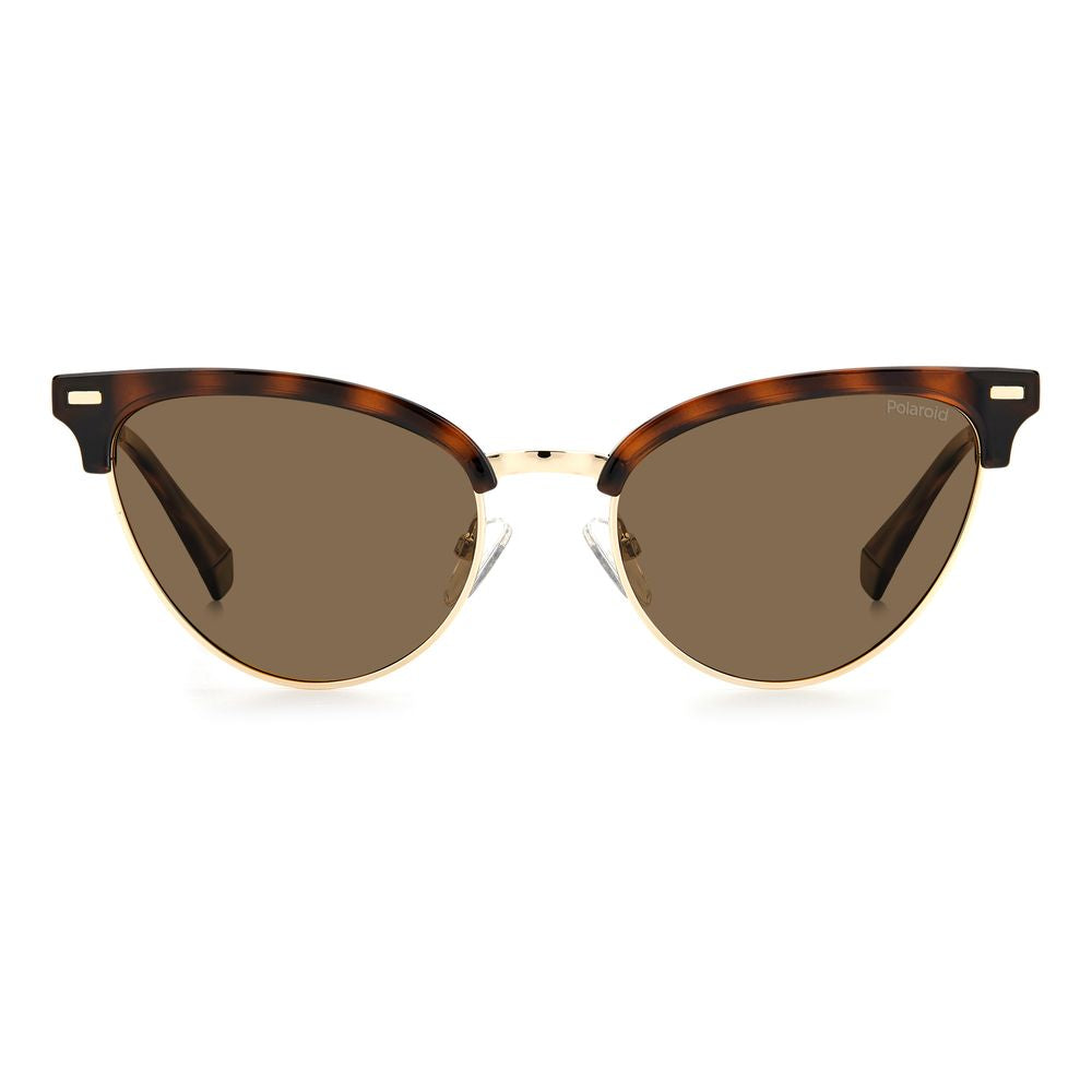 Polaroid Brown Stainless Steel Sunglasses