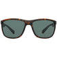 Timberland Transparent Resin Sunglasses