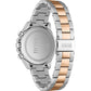 Hugo Boss Bicolor Stainless Steel Watch